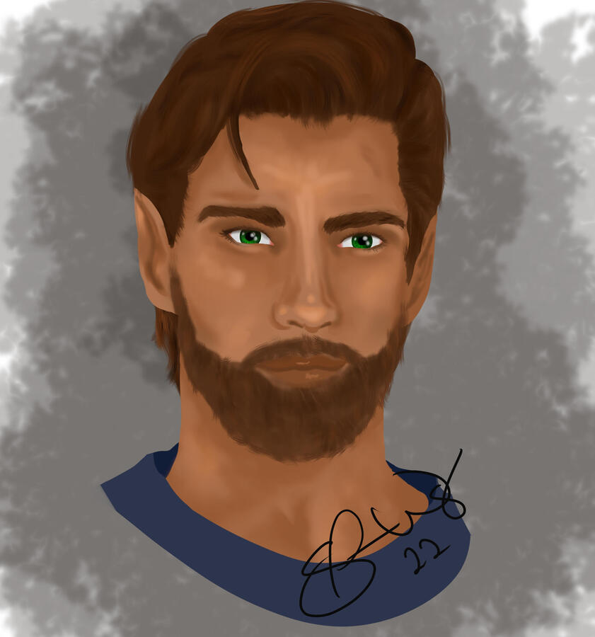 A half elf man with brown hair and beard sporting a quizzical look.
