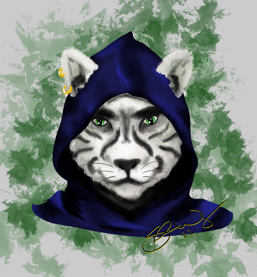 A white tabaxi with black stripes wearing a dark blue hood.