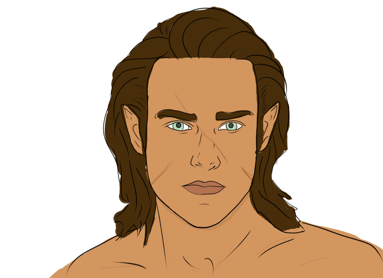 A quickly illustrated and colored image of an elven man with brown hair, pale eyes and a scar across his face.